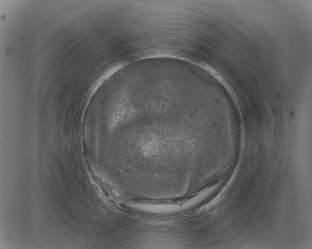 X0000084561145200703091738