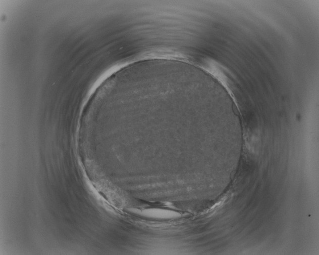 X0000084561147200703091738