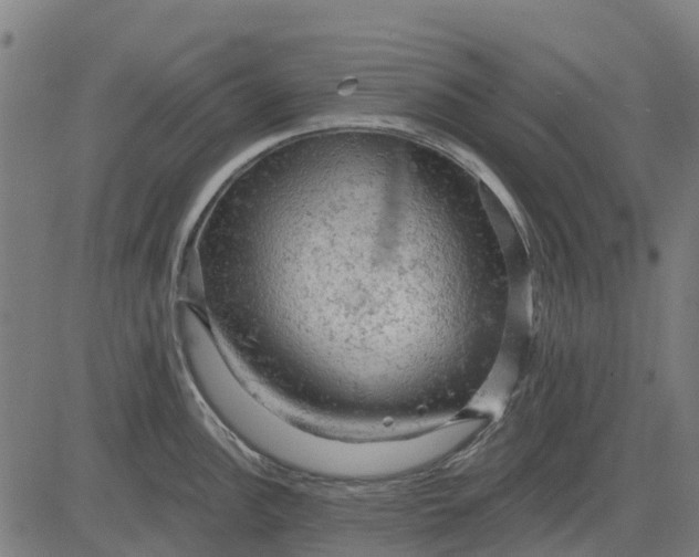 X0000084561148200703091738