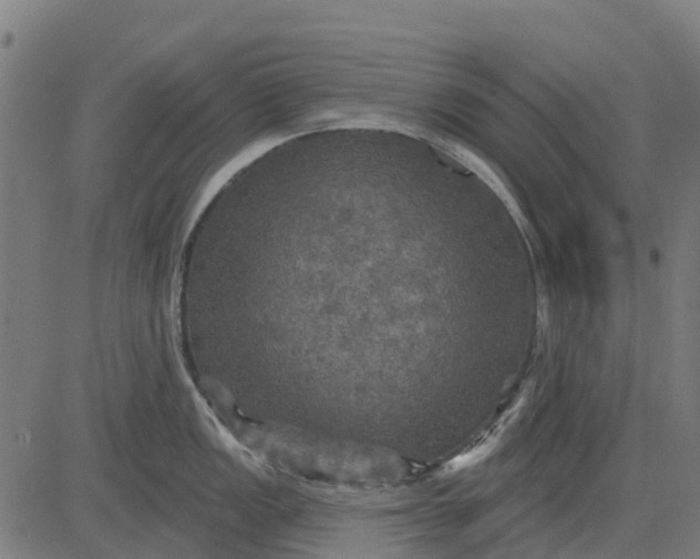 X0000084561149200703091738