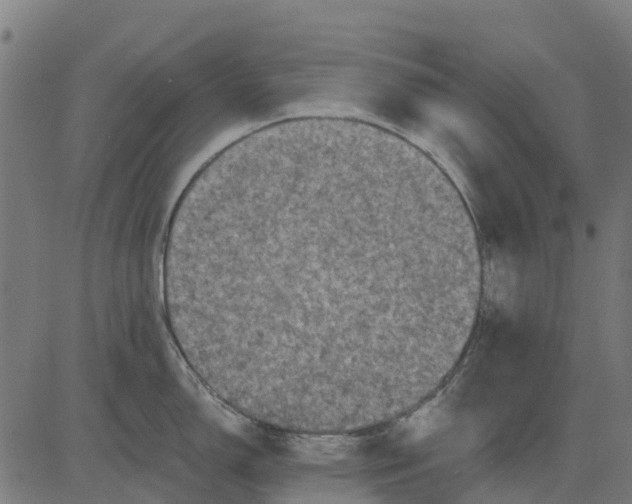 X0000084561150200703091738