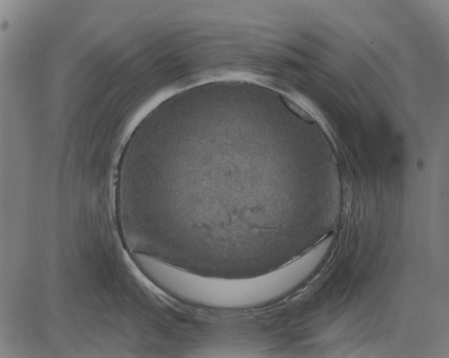 X0000084561151200703091738