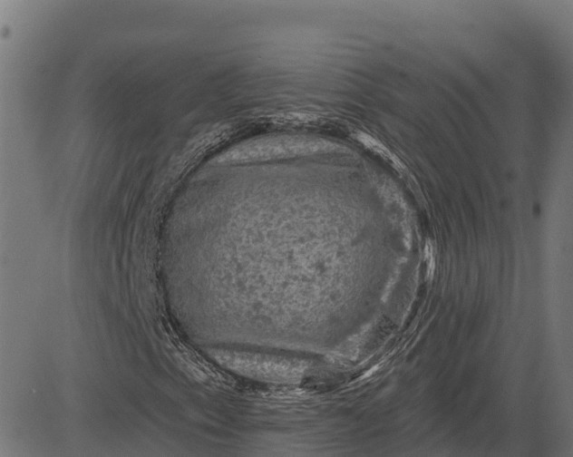 X0000084561153200703091738