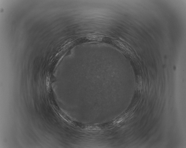 X0000084561154200703091738