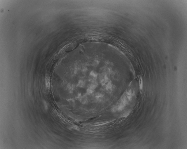 X0000084561155200703091738