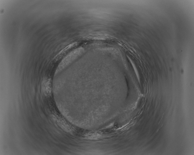 X0000084561156200703091738