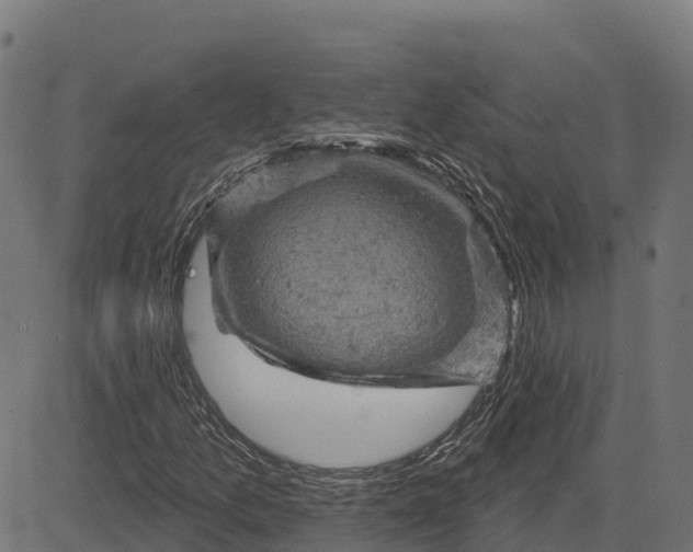 X0000084561157200703091738