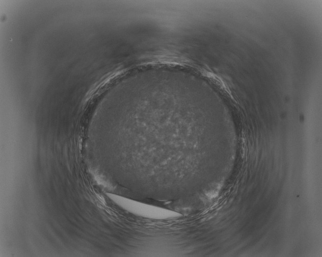 X0000084561159200703091738