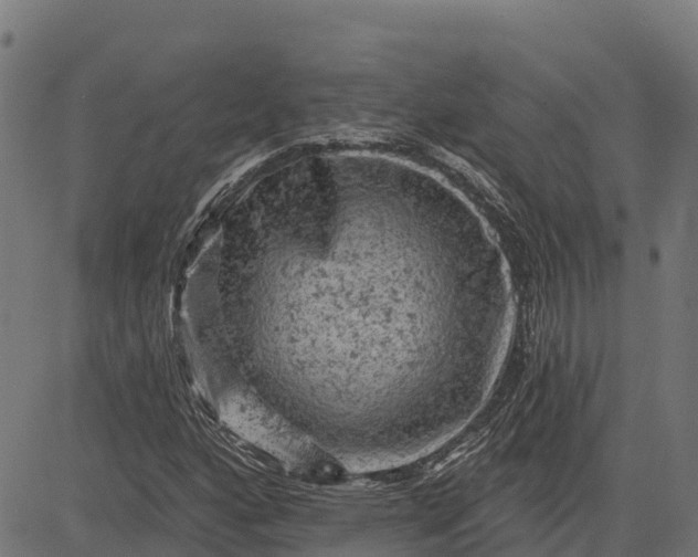 X0000084561160200703091738