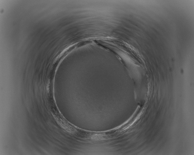 X0000084561161200703091738