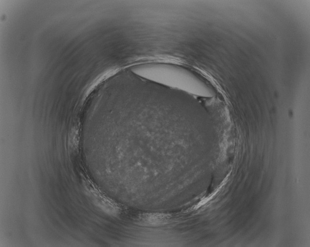 X0000084561163200703091738