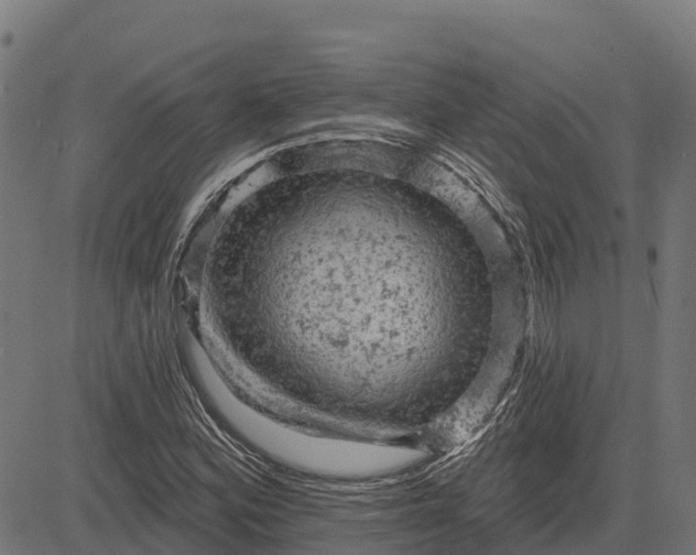 X0000084561164200703091738