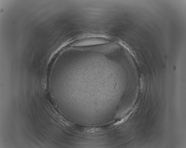 X0000084561165200703091737