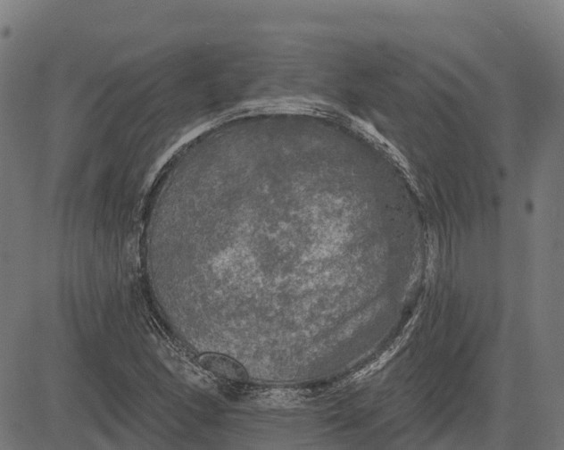 X0000084561166200703091737