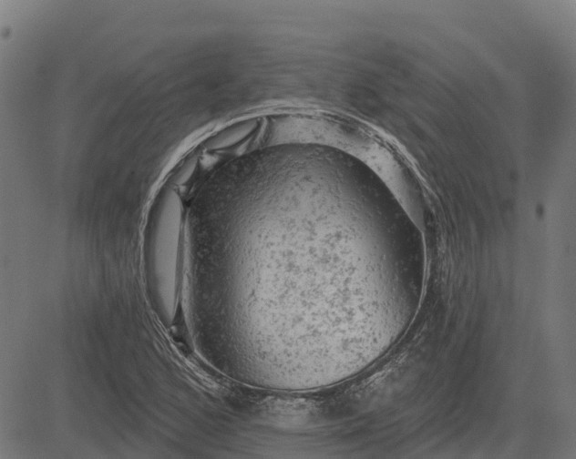 X0000084561168200703091737