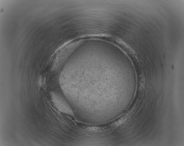 X0000084561169200703091737