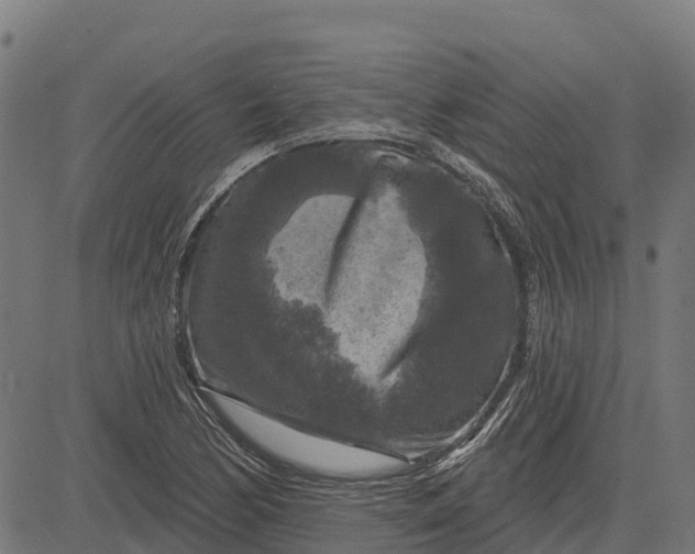 X0000084561170200703091737