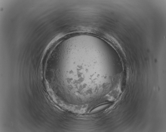 X0000084561172200703091737