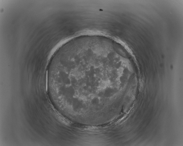 X0000084561175200703091737