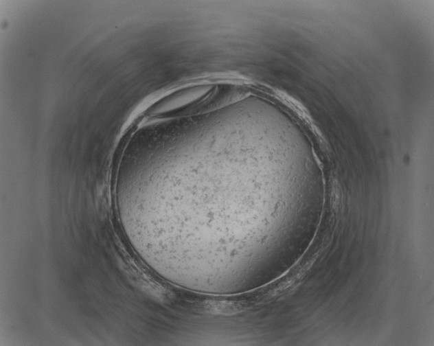 X0000084561176200703091737