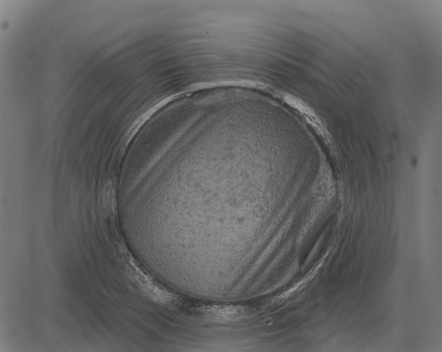 X0000084561177200703091737