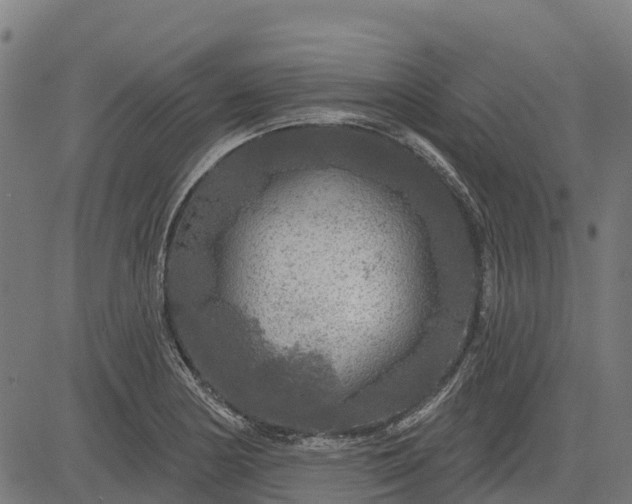 X0000084561178200703091737