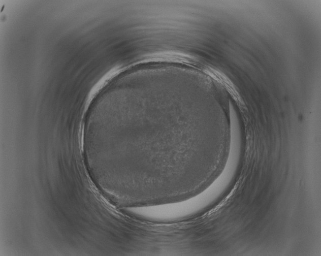 X0000084561180200703091737