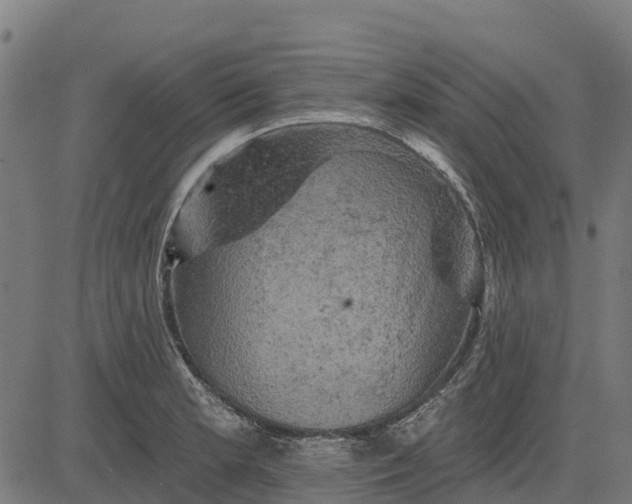 X0000084561181200703091737