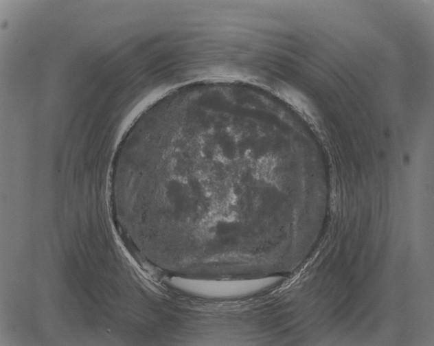 X0000084561183200703091737