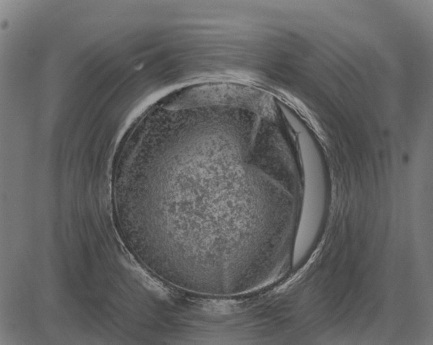 X0000084561184200703091737