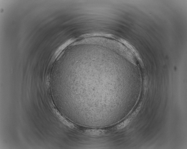 X0000084561185200703091737