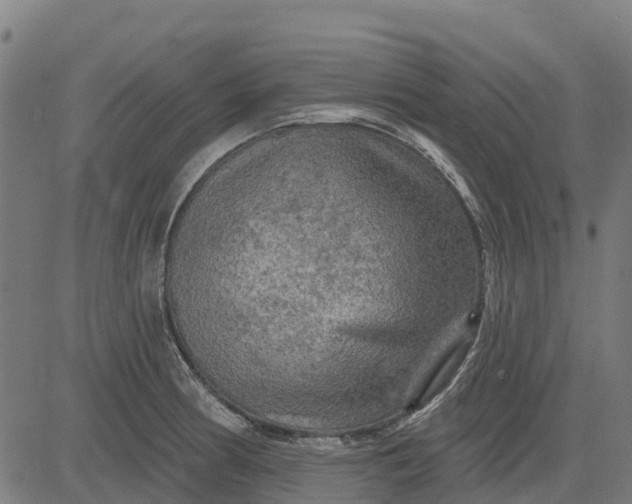 X0000084561186200703091737