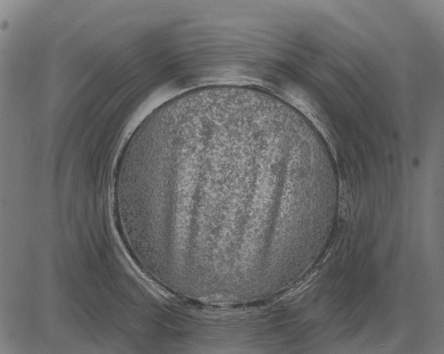 X0000084561187200703091737