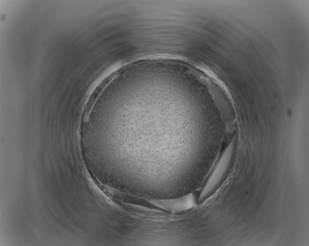 X0000084561189200703091737