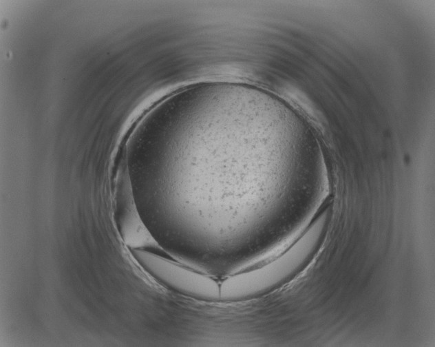 X0000084561192200703091737