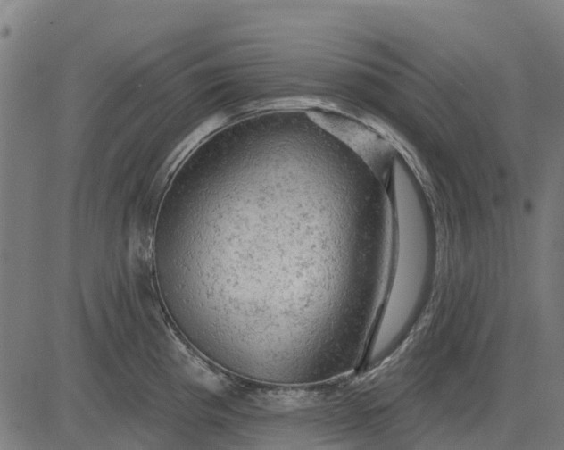 X0000084561193200703091737