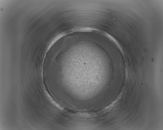 X0000084561194200703091737