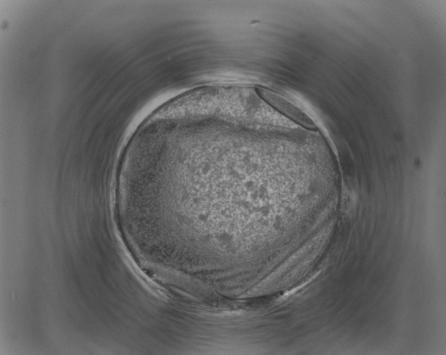 X0000084561195200703091737