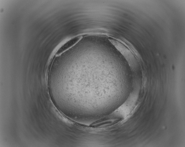 X0000084561196200703091737