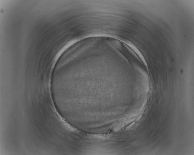 X0000084561197200703091737