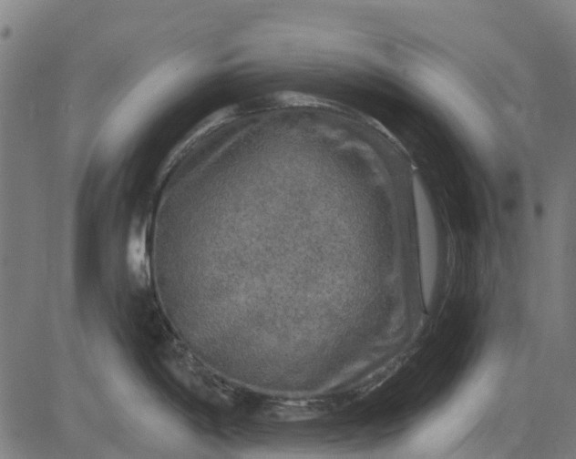 X0000084561198200703091737