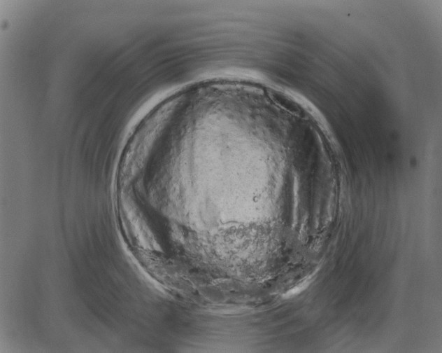 X0000084561199200703091737