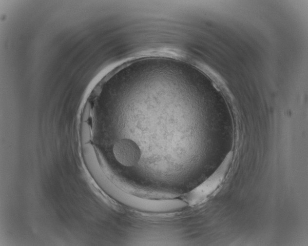 X0000084561200200703091737