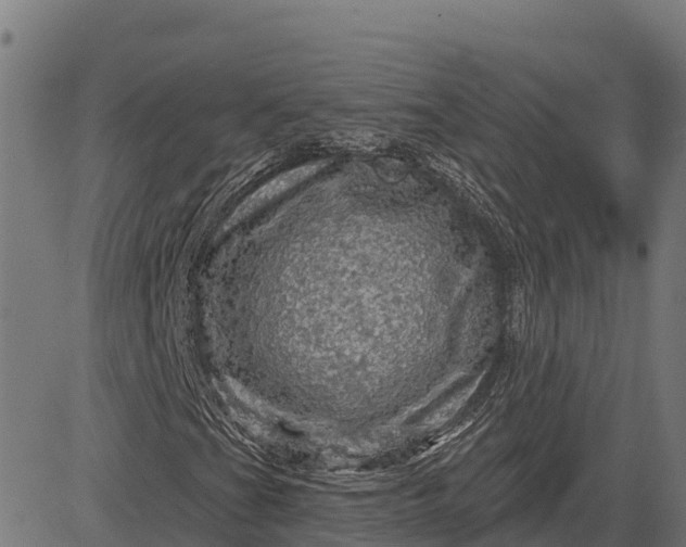 X0000084561201200703091736