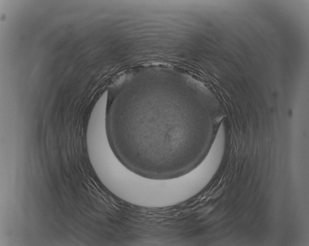 X0000084561202200703091736