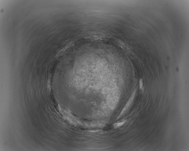 X0000084561203200703091736