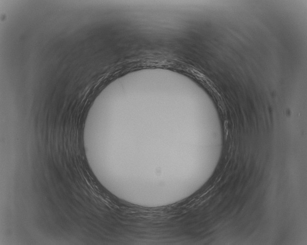 X0000084561204200703091736