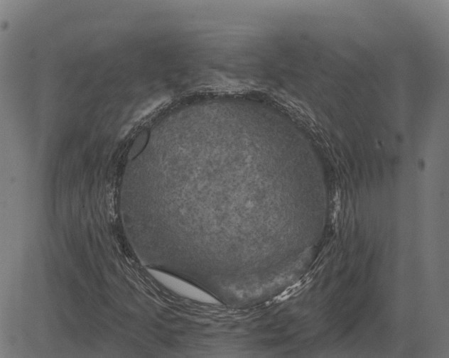 X0000084561205200703091736