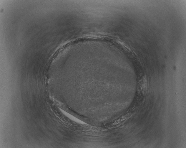 X0000084561206200703091736