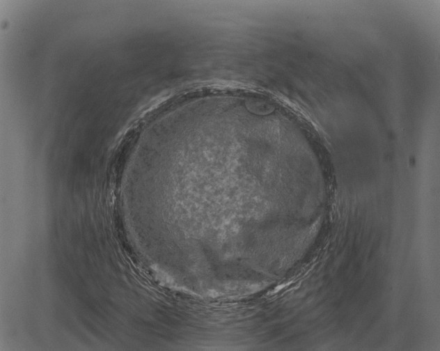 X0000084561207200703091736